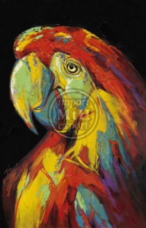 90 x 140 cm Olieverfschilderij Papegaai geel rood blauw canvas handgeschilderd