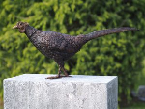 Tuinbeeld - bronzen beeld - Fazant - Bronzartes - 34 cm hoog