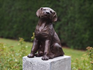 Tuinbeeld - bronzen beeld - Puppy - Bronzartes - 36 cm hoog