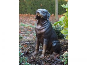 Tuinbeeld - bronzen beeld - Rottweiler - 64 cm hoog