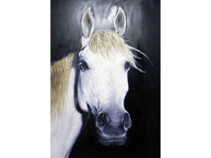 Olie op canvas - Paard - 100 cm hoog