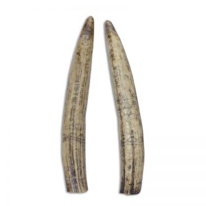 versierde walvis tand - beeld - gegoten kunststof - h6,4 cm - Beeld