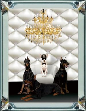 50 x 60 cm Spiegellijst met prent Hippe honden prent achter glas