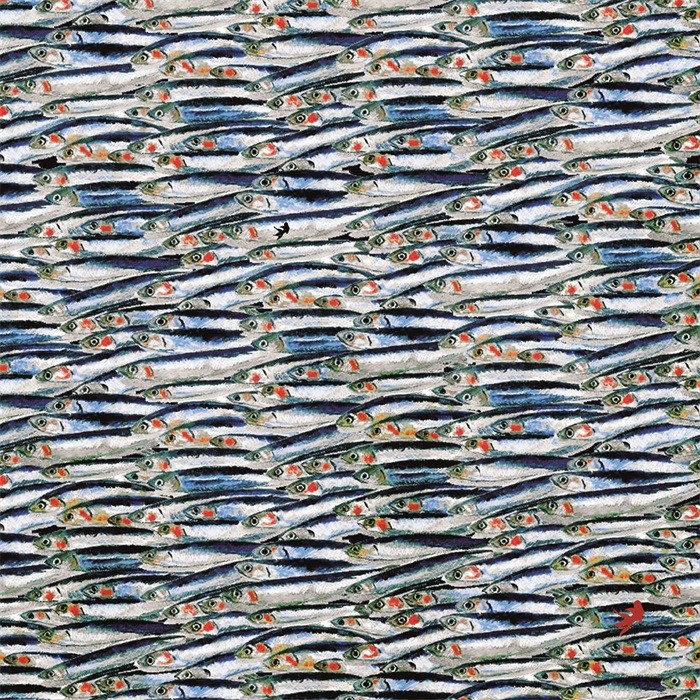 Haan Onaangeroerd Socialisme Karpet - sardientjes - design vloerkleed - 150 x 150 cm - trendybywave.nl