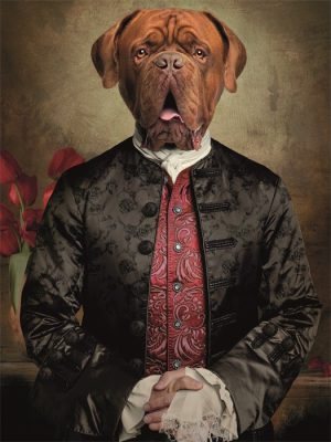 Dibond schilderij huisdier portret Bordeaux hond  60x80 cm aluminium schilderij aluart exclusieve collectie