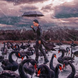 Ter Halle glasschilderij - de zwarte zwanen met de jongen in de regen