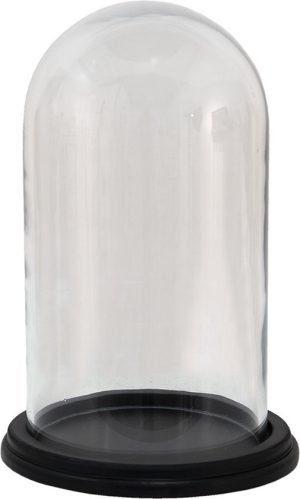 Stolp Ø 23x21 cm Transparant Hout -  Glas Rond Glazen Stolp