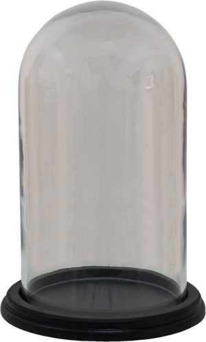 Stolp Ø 20x28 cm Transparant Hout -  Glas Rond Glazen Stolp