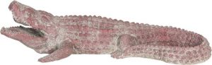 Decoratie Beeld Krokodil 46x21x12 cm Rood Kunststof - Decoratief Figuur - accessoires