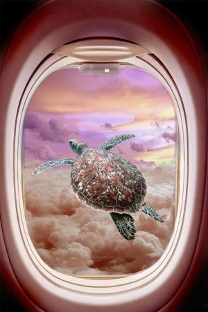 Ter Halle glasschilderij - schildpad - vliegtuigraam