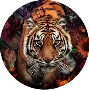 Ter Halle glasschilderij - rond schilderij - tijger