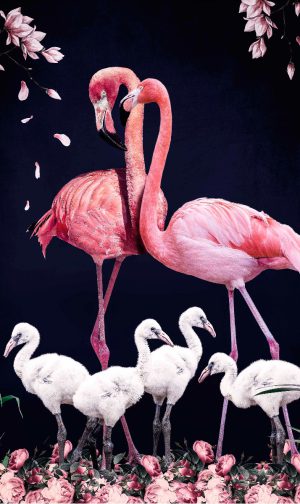 glasschilderij Flamingo's | wanddecoratie | Posterjunkie 004| 70x118cm Wandkraft dieren