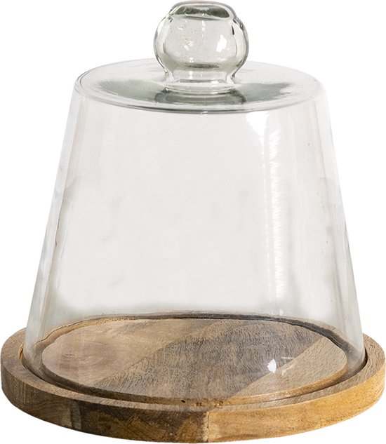 Getand verschijnen stam Stolp 20*20 cm Transparant Hout, Glas Glazen Stolp