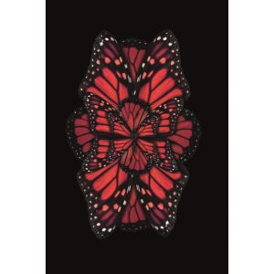 Plexiglasschilderij Mondiart - Vlinder