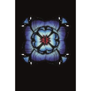 Plexiglasschilderij - Vlinder - Icarusblauwtje