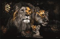 120 x 80 cm - glasschilderij - leeuwenfamilie