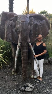 Tuinbeeld - metaal beeld - African Art Grote Olifant