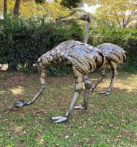 Tuinbeeld - metaal beeld - African Art Struisvogel