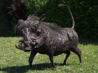 Tuinbeeld - metaal beeld - African Art Wrattenzwijn Groot