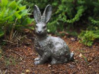 Tuinbeeld - bronzen beeld - konijn