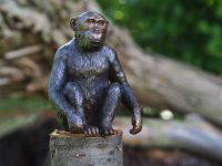 Tuinbeeld - bronzen beeld - Chimpansee