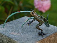 Tuinbeeld - bronzen beeld - Kikker en lieveheersbeestje