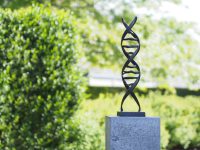 Tuinbeeld - bronzen beeld - DNA sculptuur