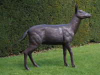 Tuinbeeld - bronzen beeld - Vrouwelijk hert