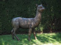 Tuinbeeld - bronzen beeld - Alpaca