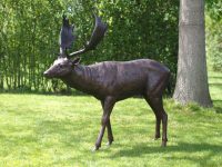 Tuinbeeld - bronzen beeld - Damhert