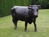 Tuinbeeld - bronzen beeld - Vache d'Hérens