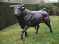 Tuinbeeld - bronzen beeld - Stier