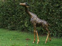 Tuinbeeld - bronzen beeld - Giraf