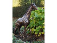 Tuinbeeld - bronzen beeld - Kleine giraf