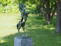 Tuinbeeld - bronzen beeld - Steigeren paard