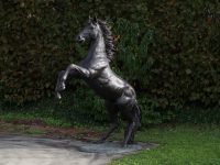 Tuinbeeld - bronzen beeld - Steigerend paard