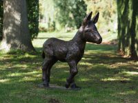 Tuinbeeld - bronzen beeld - Baby donkey