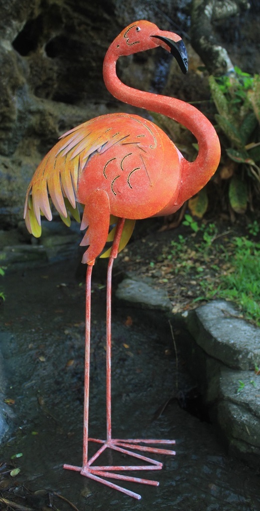 - Kleurrijke flamingo |