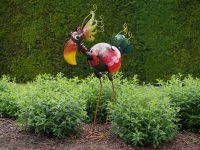 Tuinbeeld - Kleurrijke vogel