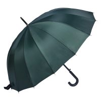 Paraplu Volwassenen 60 cm Groen Synthetisch