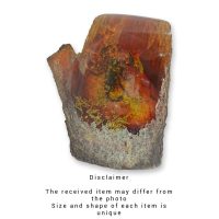 Barnsteenfossiel - Schorpioen - polyresin - 16 cm hoog