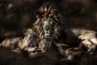 Glasschilderij leeuwenfamilie - schilderij fotokunst - 120x80 cm
