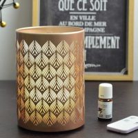 Aroma diffuser - Zen Arôme - Essential Vienne - Oils diffuser - 40 m2