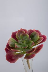 Kunstplant - Succulent - topkwaliteit decoratie - 2 stuks - zijden vetplant - Rood - 10 cm hoog