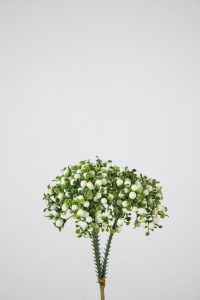 Kunstplant - bessentak - topkwaliteit decoratie - 2 stuk - zijden bos - Wit - 15 cm hoog