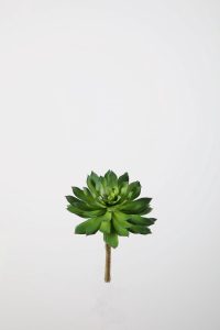 Kunstplant - Cactus bal - topkwaliteit decoratie - 2 stuks - zijden tak - Groen - 18 cm hoog