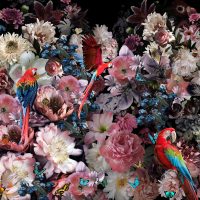80 x 80 cm - glasschilderij - kleurrijke bloemen - papegaaien - schilderij fotokunst - foto print op glas