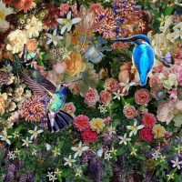 80 x 80 cm - glasschilderij - kleurrijke bloemen - vogels - schilderij fotokunst - foto print op glas